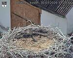 Capi_Dubne_20260730_171504.jpg