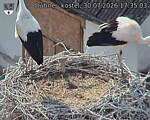 Capi_Dubne_20260730_173503.jpg