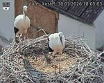 Capi_Dubne_20260730_180503.jpg