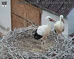 Capi_Dubne_20260730_184003.jpg
