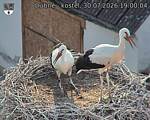 Capi_Dubne_20260730_190004.jpg