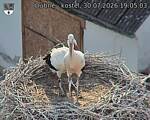 Capi_Dubne_20260730_190503.jpg