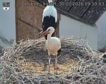 Capi_Dubne_20260730_191003.jpg