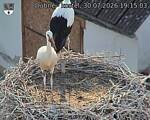 Capi_Dubne_20260730_191503.jpg