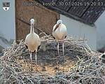 Capi_Dubne_20260730_192003.jpg