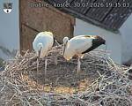 Capi_Dubne_20260730_193503.jpg