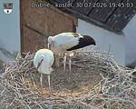 Capi_Dubne_20260730_194503.jpg