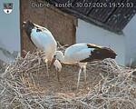 Capi_Dubne_20260730_195503.jpg
