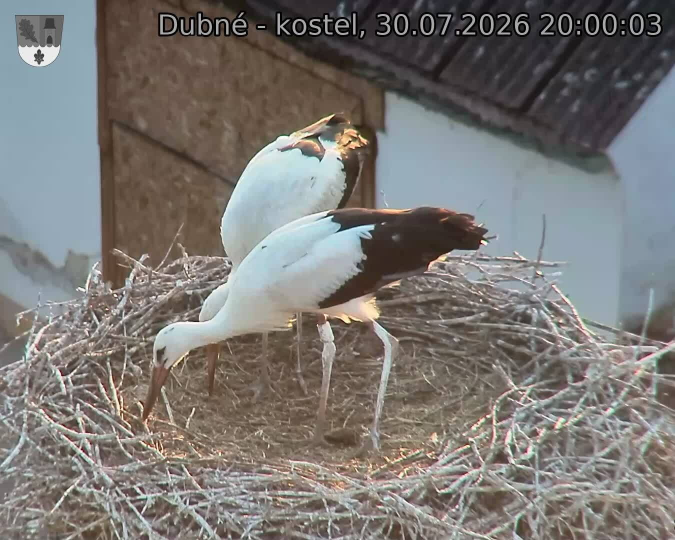 Capi_Dubne_20260730_200003.jpg (1350&nbsp;x&nbsp;1080)