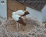 Capi_Dubne_20260730_200503.jpg