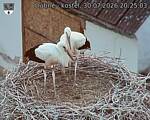 Capi_Dubne_20260730_202503.jpg