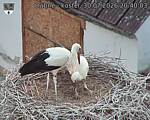 Capi_Dubne_20260730_204003.jpg