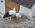 Capi_Dubne_20260730_204503.jpg