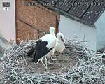 Capi_Dubne_20260730_210002.jpg