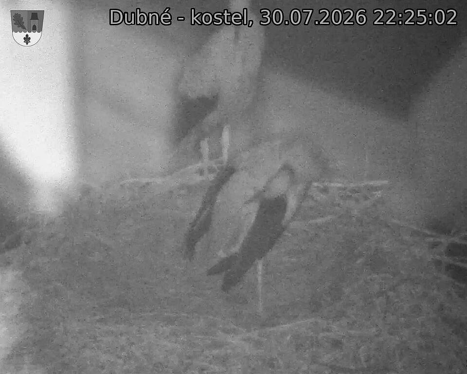 preload