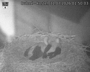 preload