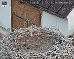 Capi_Dubne_20260731_060002.jpg
