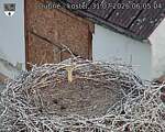 Capi_Dubne_20260731_060504.jpg