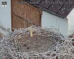 Capi_Dubne_20260731_061004.jpg