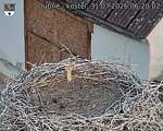 Capi_Dubne_20260731_062003.jpg
