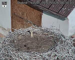 preload