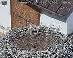 Capi_Dubne_20260731_110003.jpg
