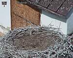 Capi_Dubne_20260731_111004.jpg