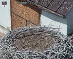 Capi_Dubne_20260731_123004.jpg