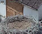 Capi_Dubne_20260731_150504.jpg