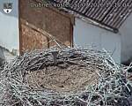 Capi_Dubne_20260731_151004.jpg
