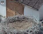 Capi_Dubne_20260731_151502.jpg