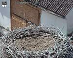 Capi_Dubne_20260731_153003.jpg