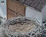 Capi_Dubne_20260731_154002.jpg
