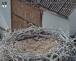 Capi_Dubne_20260731_155502.jpg