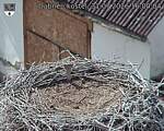 Capi_Dubne_20260731_160004.jpg