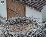 Capi_Dubne_20260731_161502.jpg