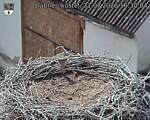 Capi_Dubne_20260731_163004.jpg