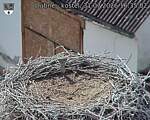 Capi_Dubne_20260731_163502.jpg