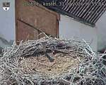 Capi_Dubne_20260731_165504.jpg