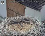Capi_Dubne_20260731_172003.jpg