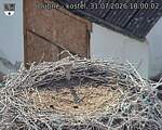Capi_Dubne_20260731_180002.jpg
