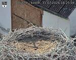 Capi_Dubne_20260731_182504.jpg