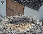 Capi_Dubne_20260731_183503.jpg