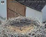 Capi_Dubne_20260731_184504.jpg