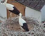 Capi_Dubne_20260731_191504.jpg