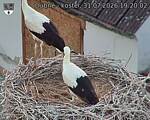 Capi_Dubne_20260731_192002.jpg