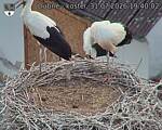 Capi_Dubne_20260731_194002.jpg