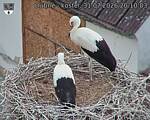 Capi_Dubne_20260731_201003.jpg