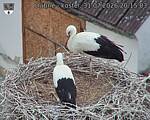 Capi_Dubne_20260731_201503.jpg