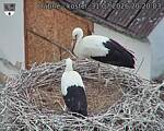 Capi_Dubne_20260731_202003.jpg